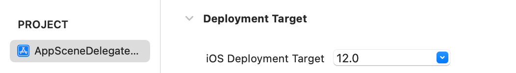 Xcode 在 iOS 13 以下手機 build 出現黑畫面