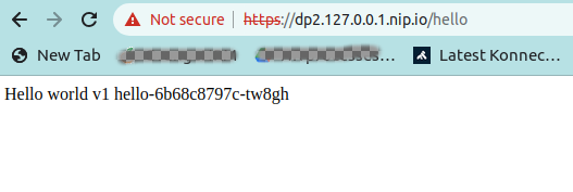 Acess the deployed workload through DP2 endpoint