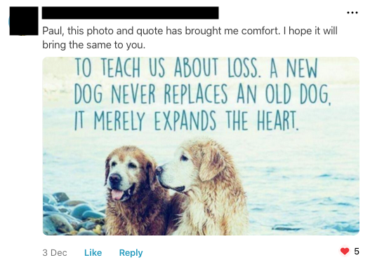 Nextdoor comment with a pic of 2 golden retrievers + text “A new dog never replaces an old dog. It merely expands the heart.”