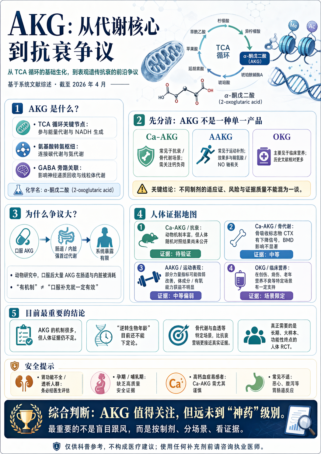 α-酮戊二酸（AKG）：代谢枢纽里的抗衰候选者，还是被过度炒作的补剂？
