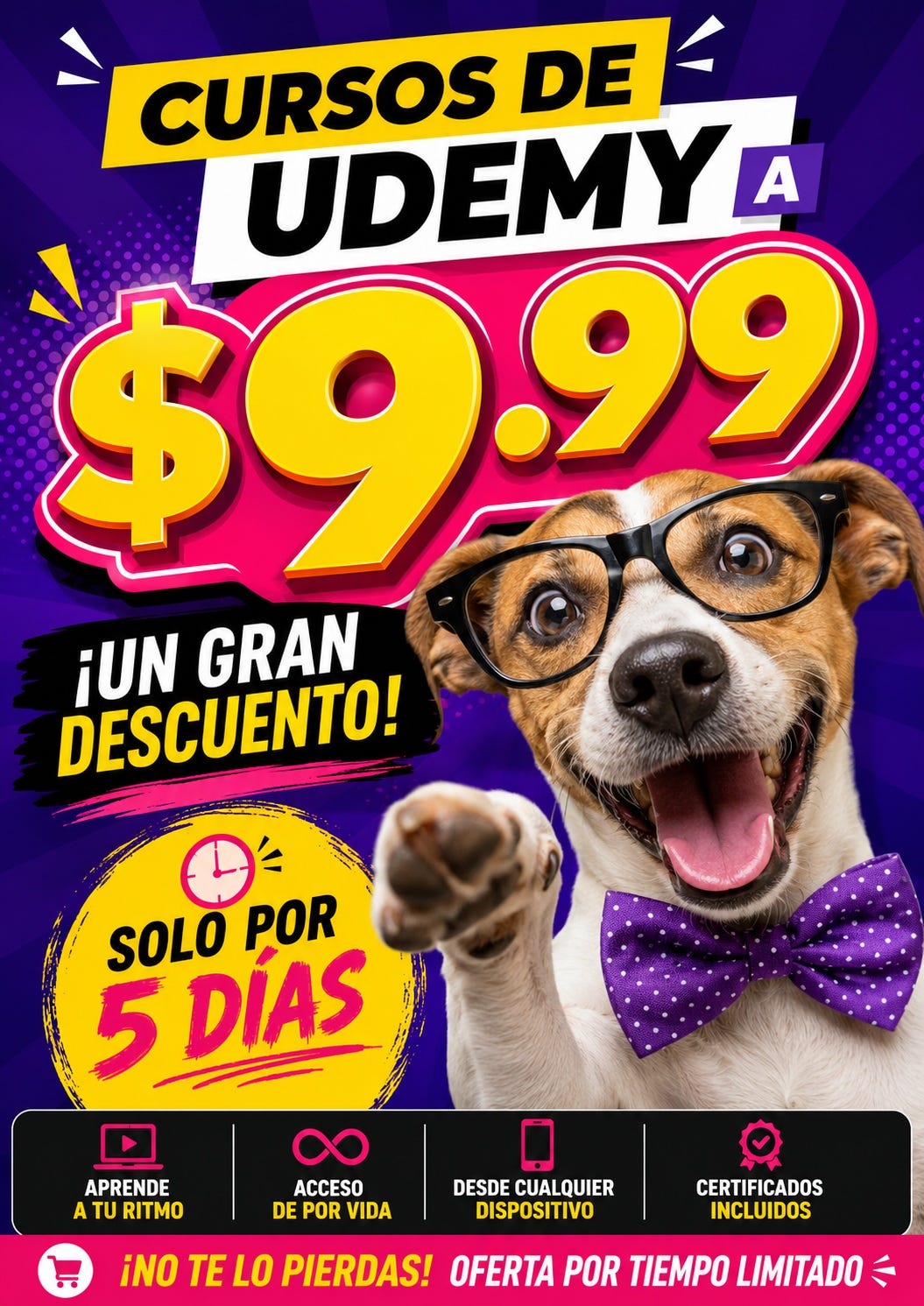 Todos mis cursos de Udemy al precio mas bajo!!!
