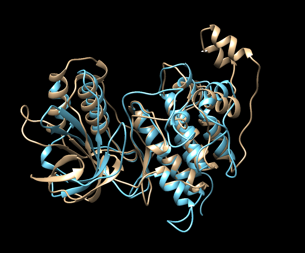 Part 1 Molecular Dynamics Simulating Kinases using CHARMM and Amber