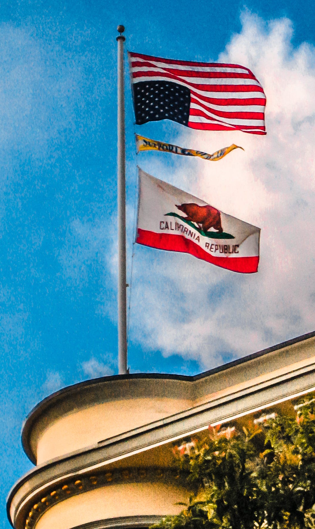 United We Stand. Downfall of a viral nation | by Britni Pepper | Grab a