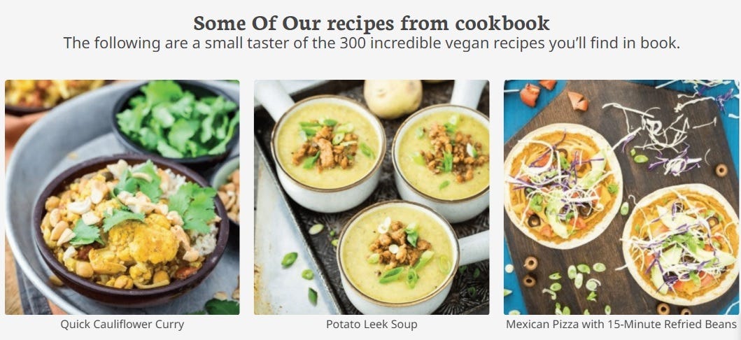 Exploring the 300 Vegan/Plant-Based Recipe Cook Book: A Detailed Study