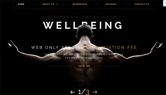 Fitness Website Templates designs, themes, templates and