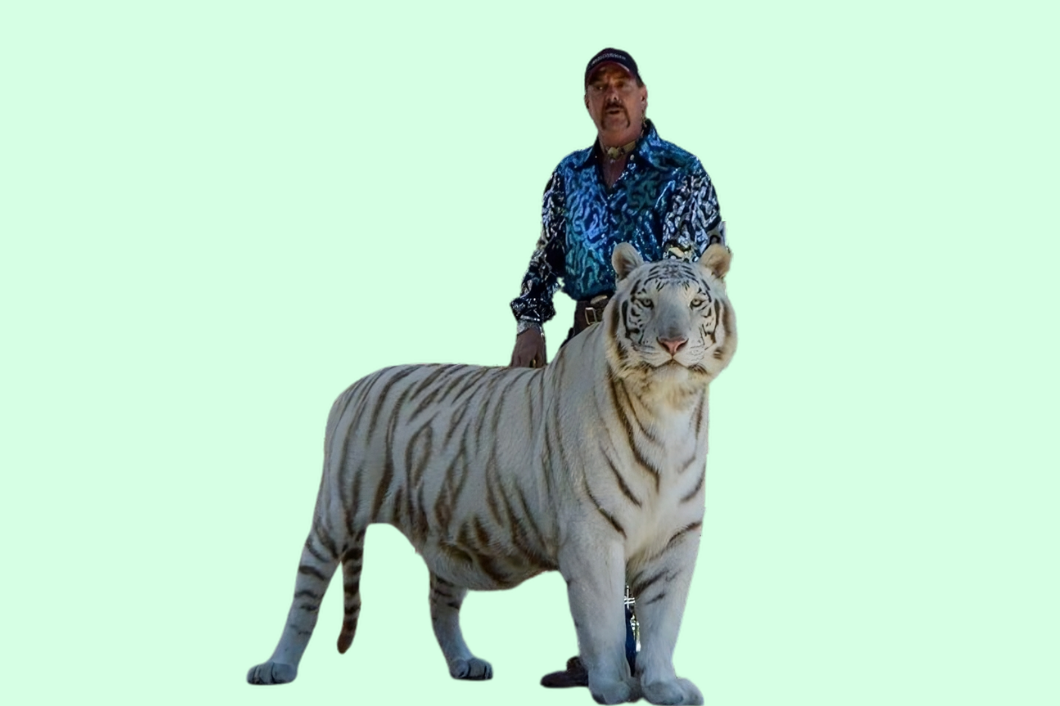 Dress Like Joe Exotic from Tiger King