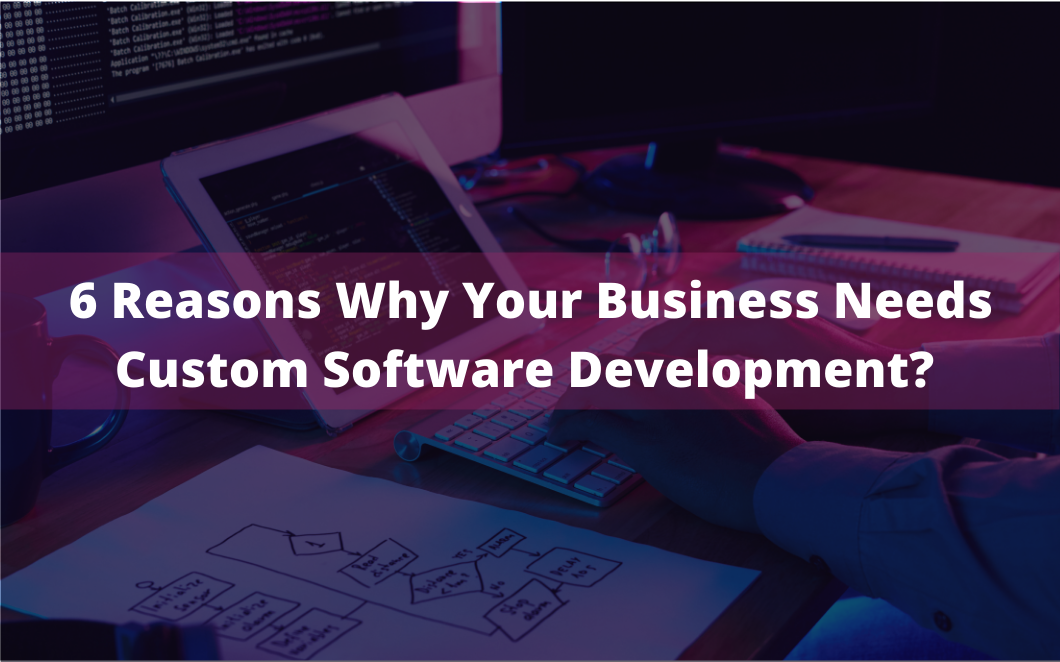 6 Reasons Why Your Business Needs Custom Software Development? | Techno ...