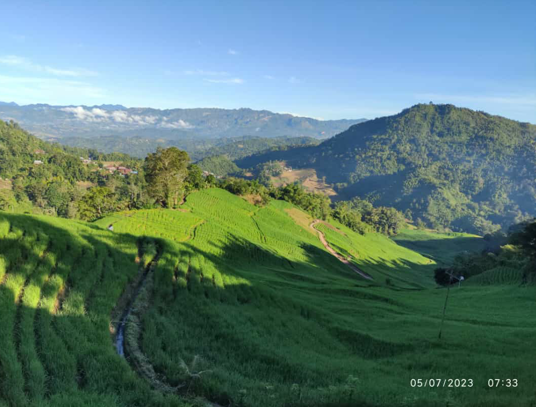 Pulu Mandoti Asli Beras Ketan Merah Harum Enrekang Duri