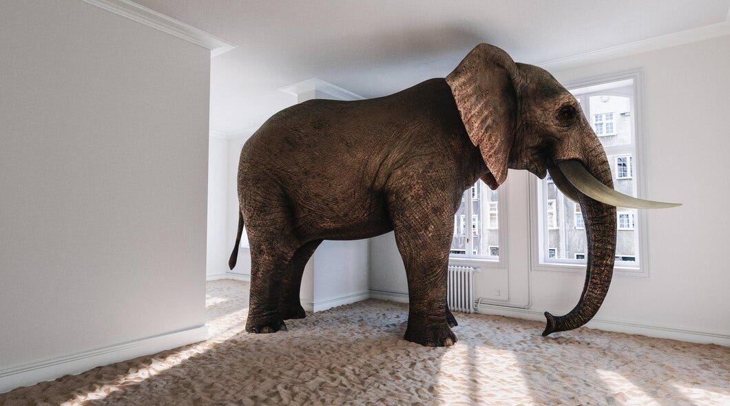 I AmThe Elephant In The Room. With No Way Out, by Liam Ireland, ILLUMINATION