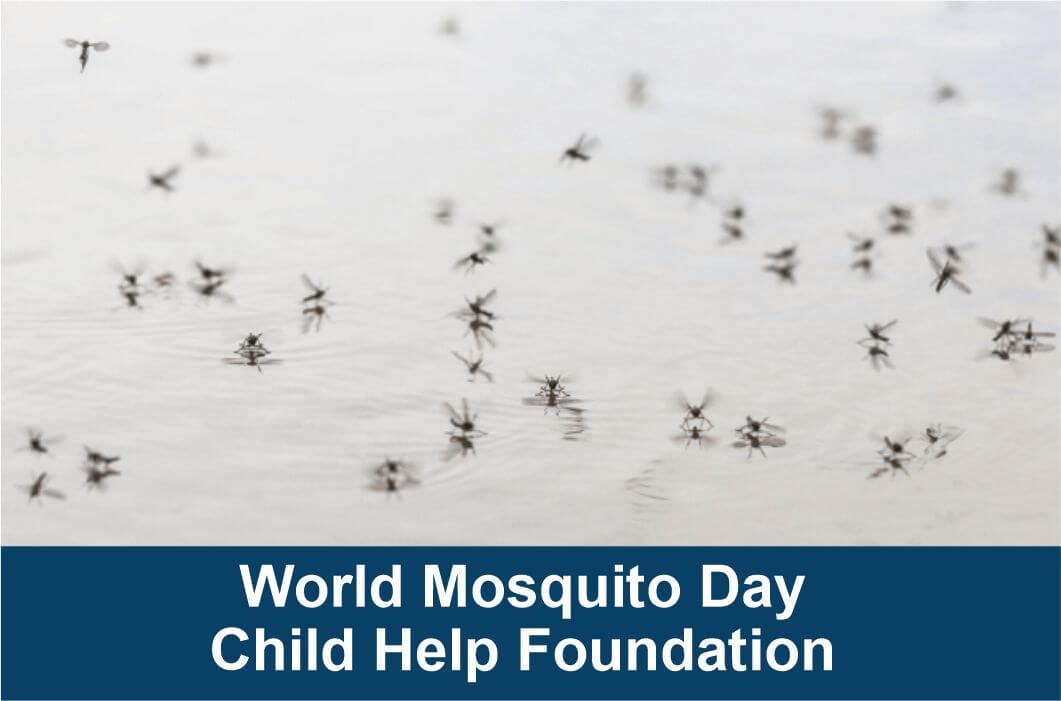 World Mosquito Day The Threat of Malaria in the World by Child Help