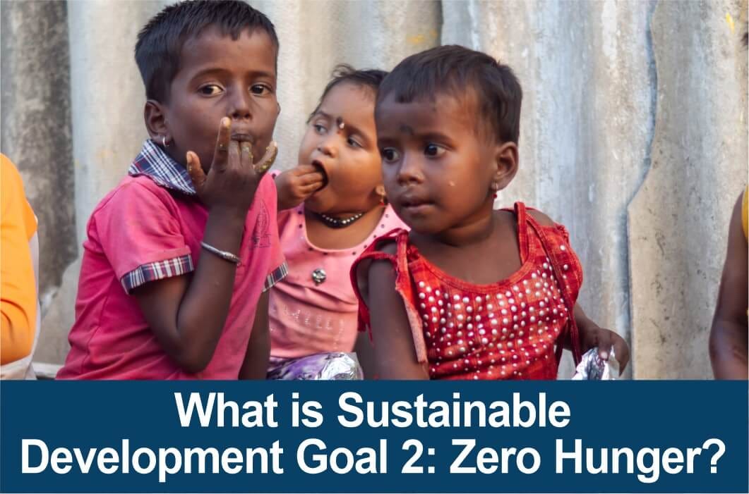 What is Sustainable Development Goal 2 Zero Hunger? by Child Help