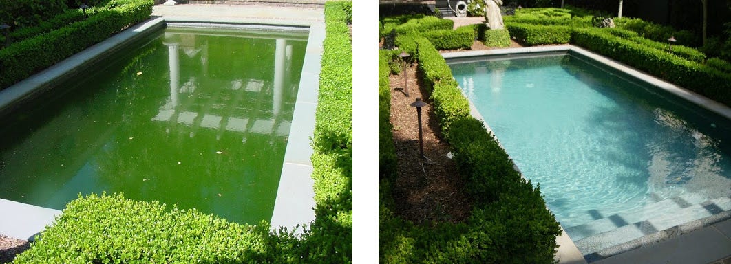 HOW TO FIX A GREEN POOL. Most commonly, pool water turns green… | by ...