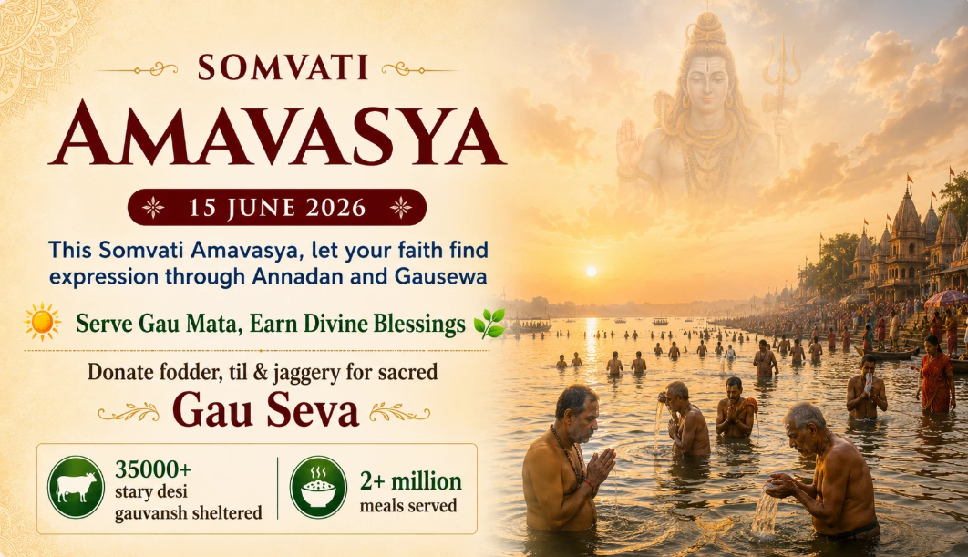 The Spiritual Importance of Amavasya: A Sacred Time for Reflection, Healing, and Giving
