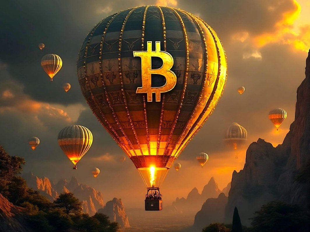 Two of the Three Best Performing Investments of 2024 Were Bitcoin Related — Coincidence? | by Toby Hazlewood | The Capital | Jan, 2025