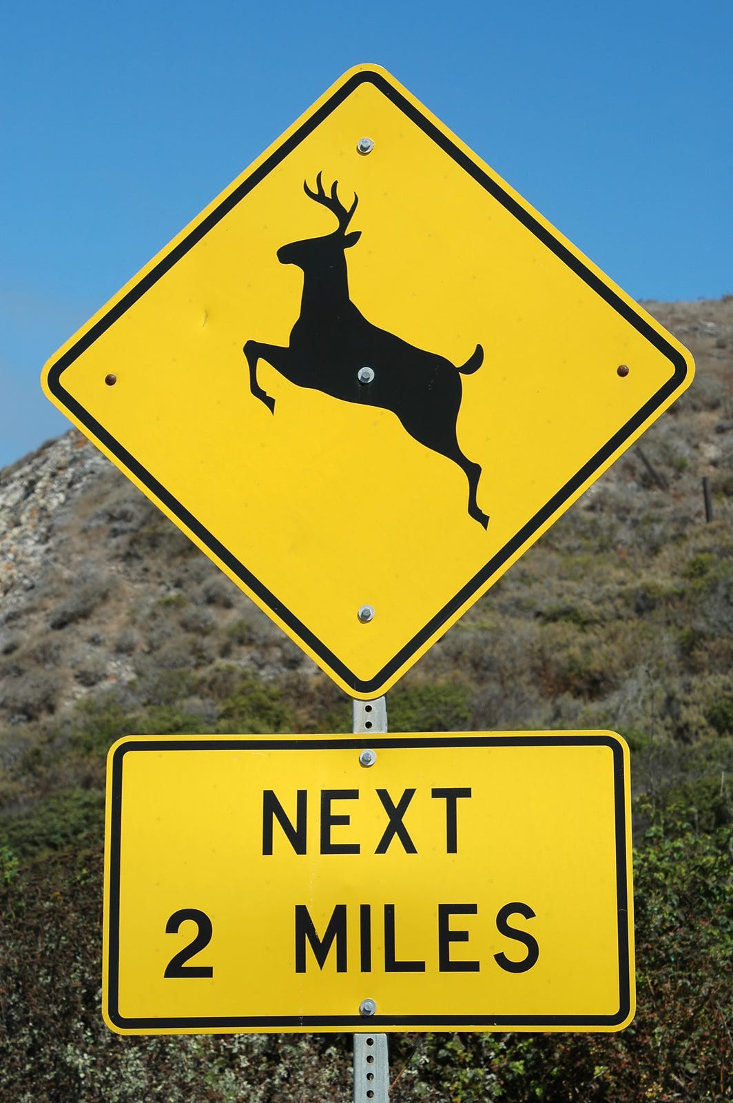 The rut is on; watch for deer on the move by The Washington