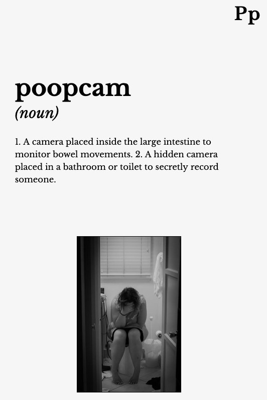 Poopcam. Record that bowel movement!, by Avi Kotzer, Menagerie of Made-up  Morphemes