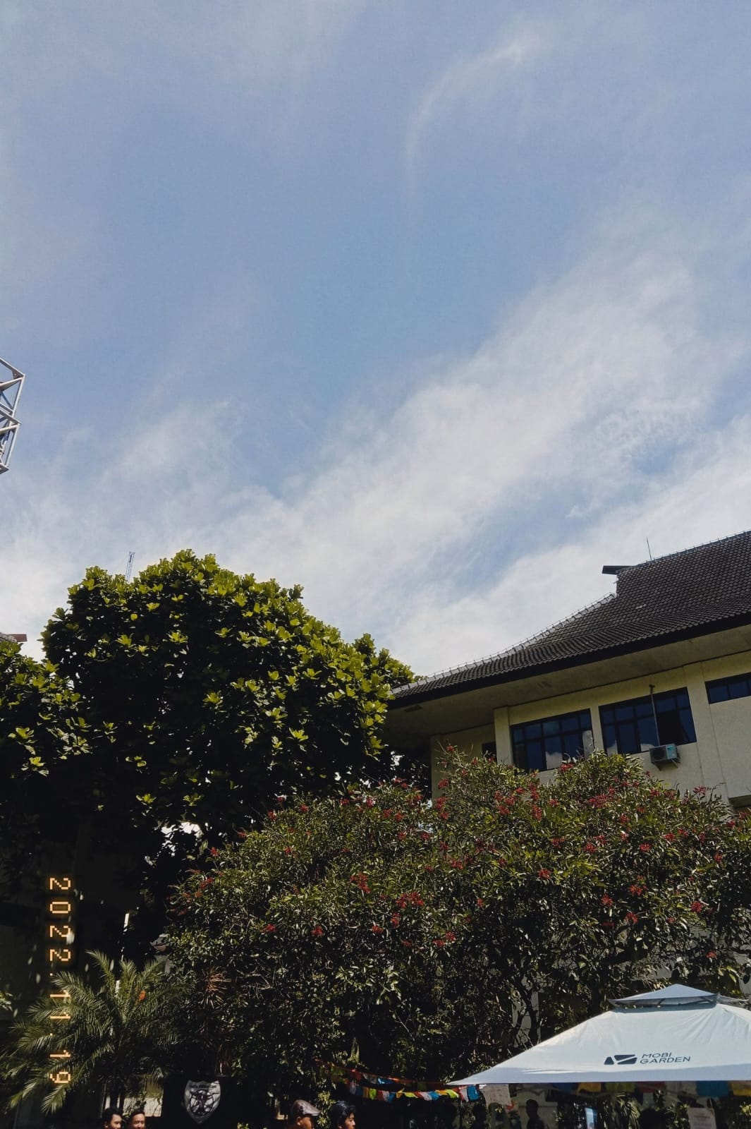 i took this pict with the best of blue sky