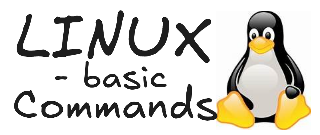 Basic Linux commands. Exploring Linux!! | by Suresh Vadde | Nov, 2024 ...