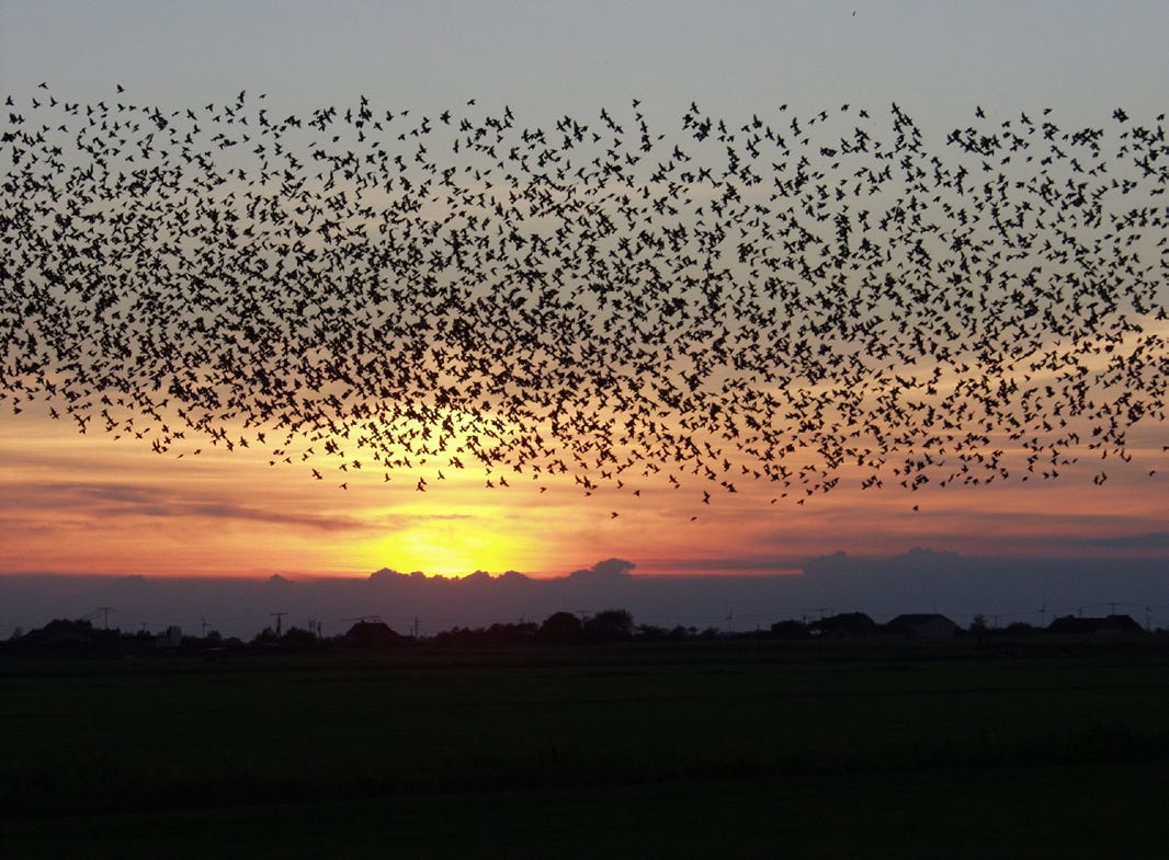 Cross-Cloud HBase/Phoenix Data Migration
