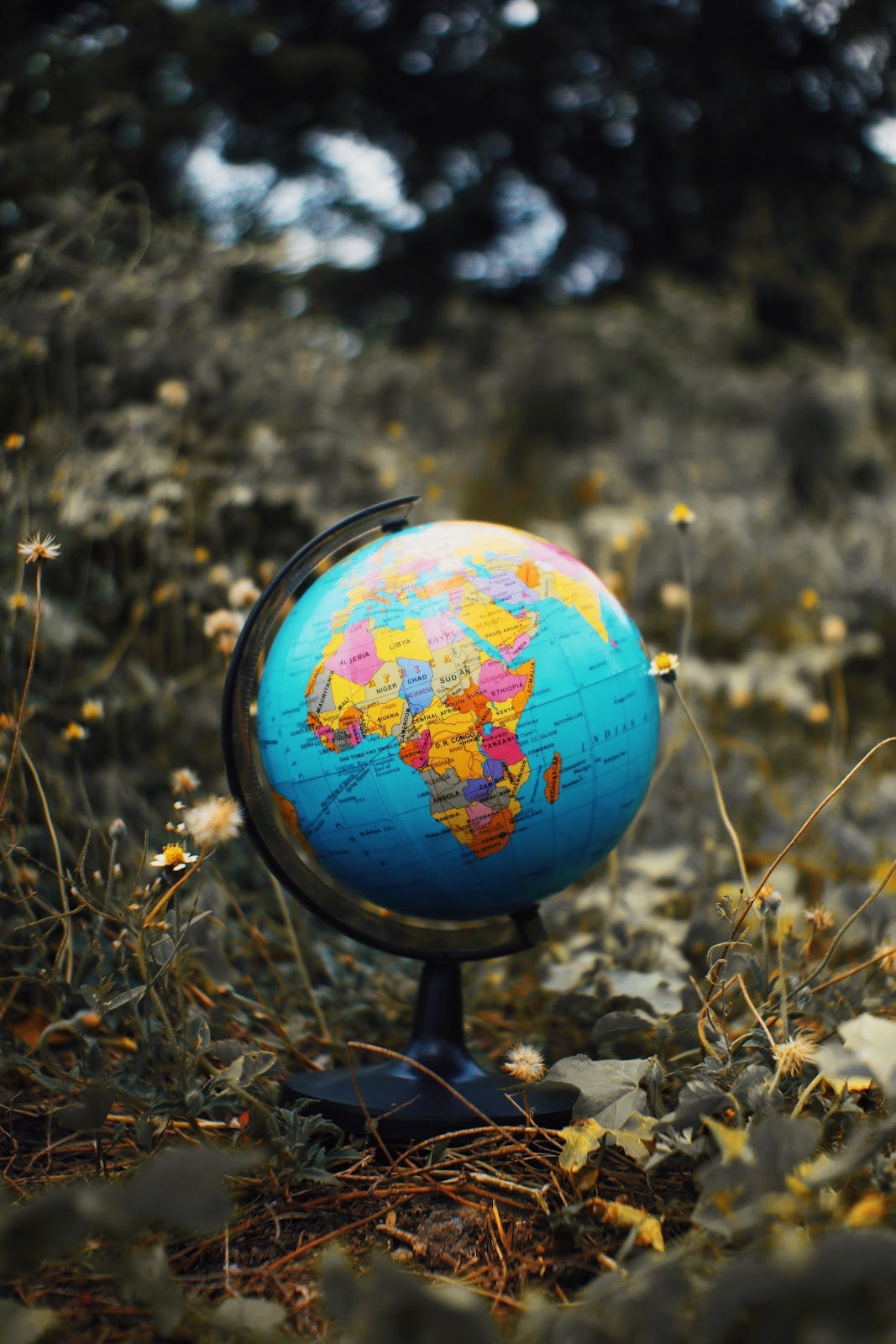 12 Micro Habits you can start today that help the climate. | by ...