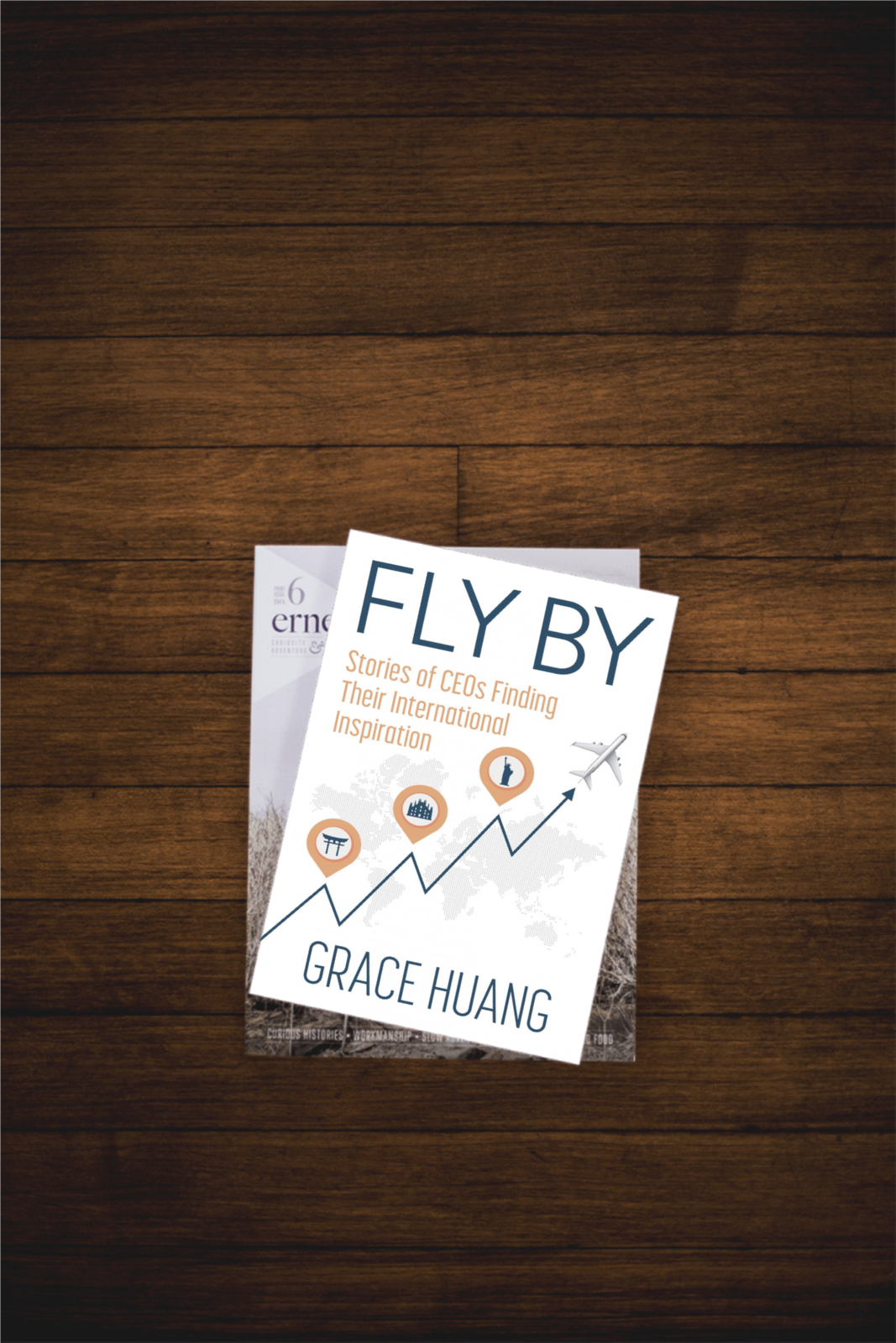 Chapter 1. Excerpt of Fly By, Chapter 1, by Grace… | by Grace Huang ...
