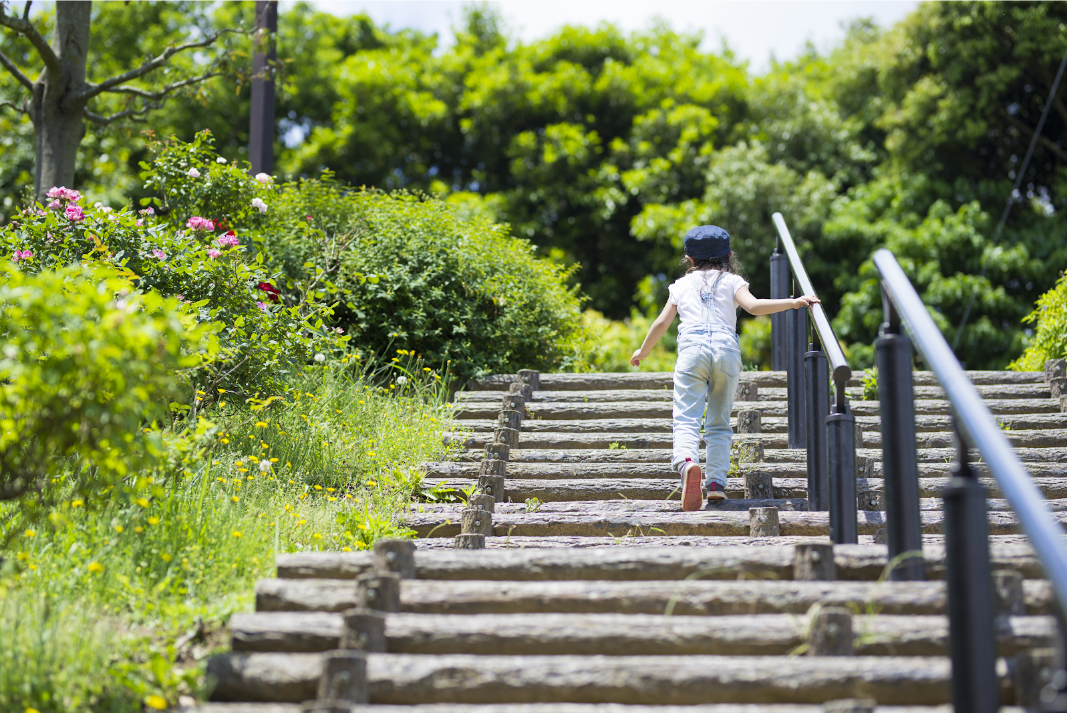 Using Whole Child Development to Grow Emotional Intelligence | by ...