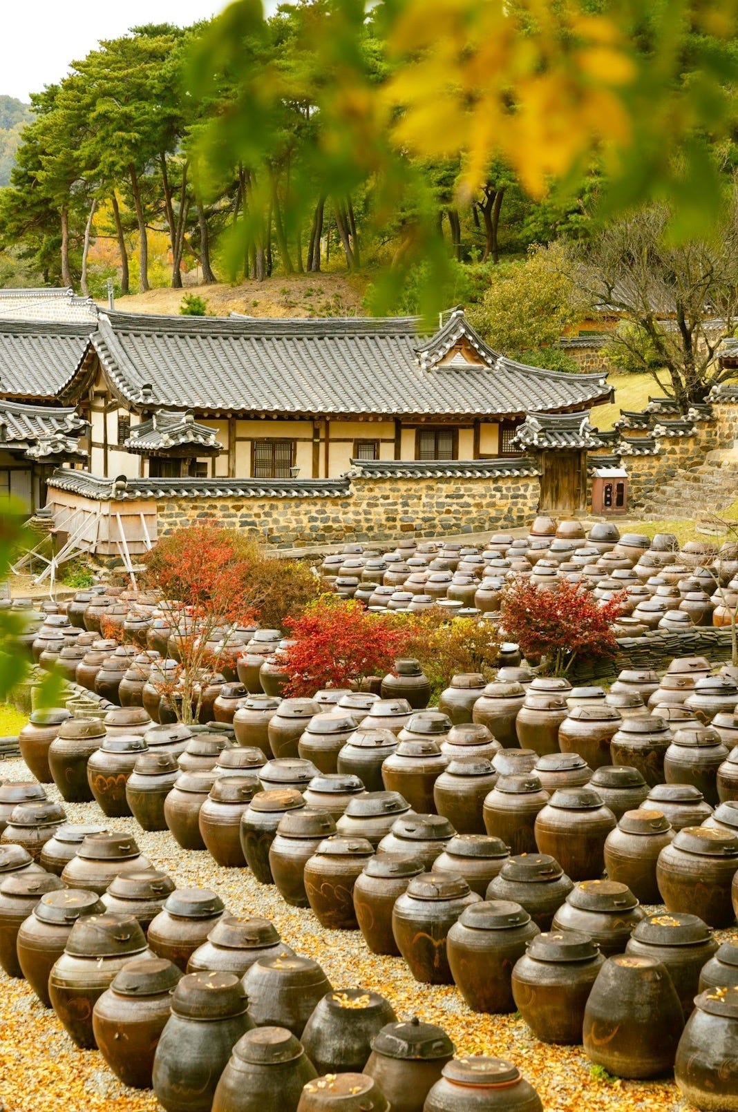 The Country That Seasons From the Soul