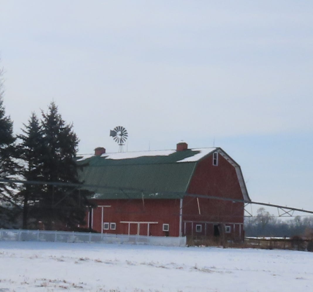 Photography by Dawn Ulmer, the author
