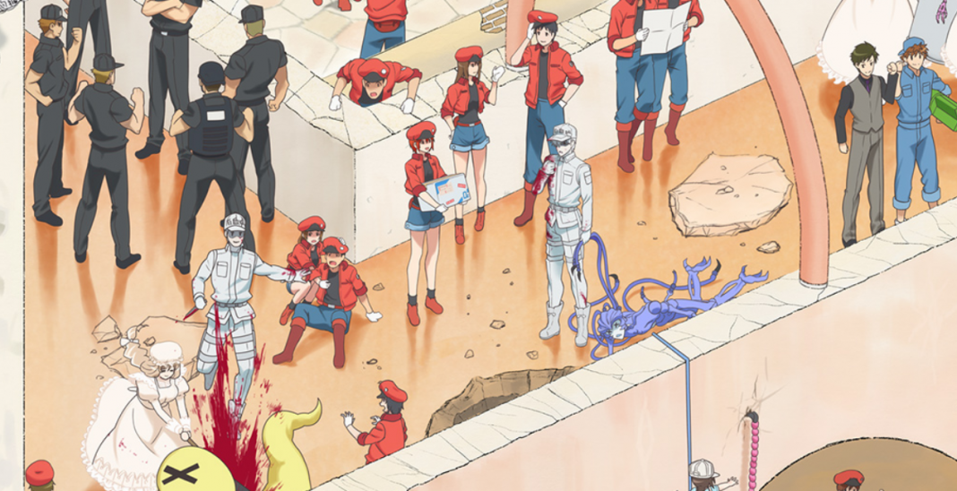 CELLS AT WORK/HATARAKU SAIBOU] Porque você deve assistir o anime Cells At  Work/Hataraku Saibou 