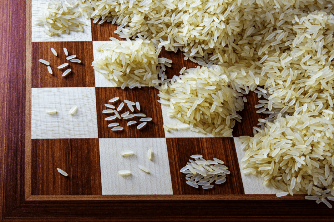 The story of Rice and Chessboard. Knowledge and experience are the most… | by Shailyg | Medium
