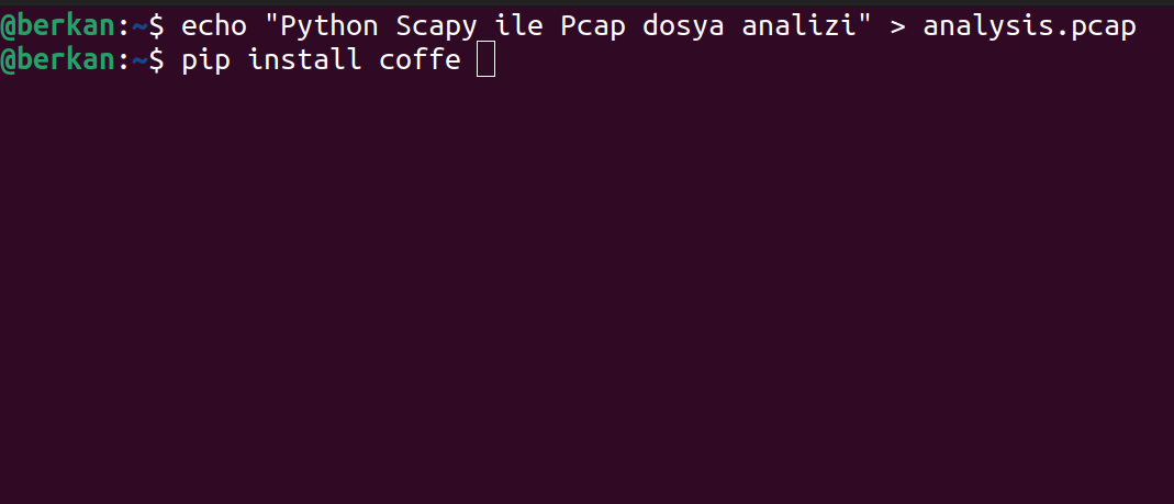 Python Scapy ile Pcap Dosya Analizi | by Berkan Türel | Medium
