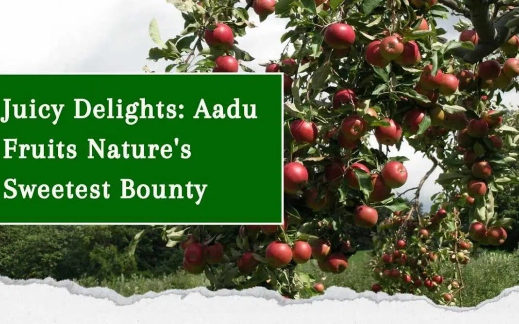 Aadu fruit deals