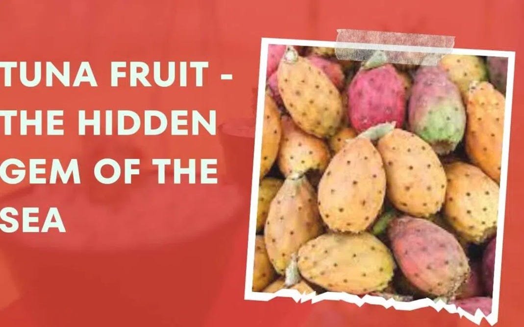Tuna Fruit — The Hidden Gem of the Sea by Sep