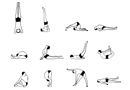 Asanas: Meaning, Definition and Purpose • Yoga Basics