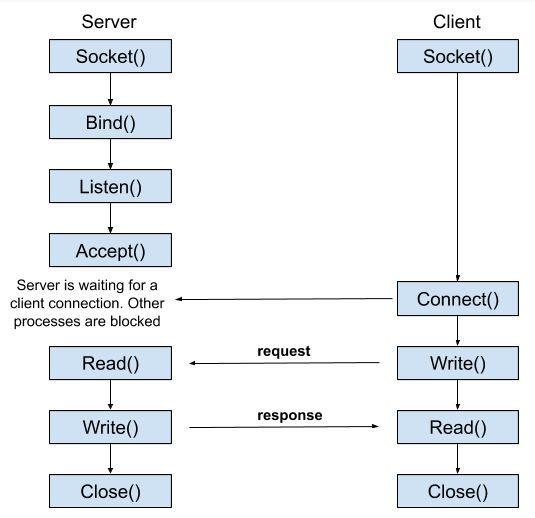 Fundamentals of TCP Socket Programming in Java | by Pavindu Lakshan |  Javarevisited | Medium