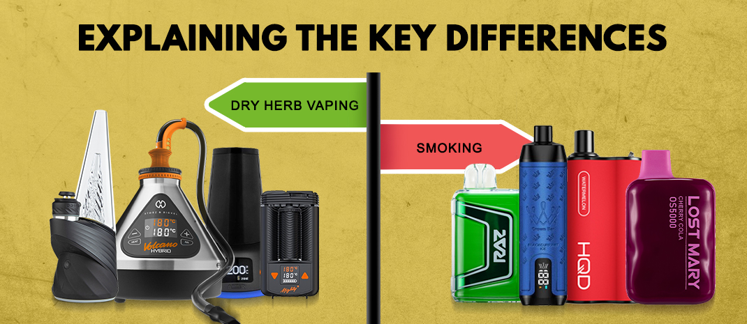 metaracer vs vaporfly