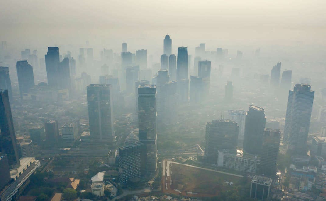 Sumber: Forest Digest