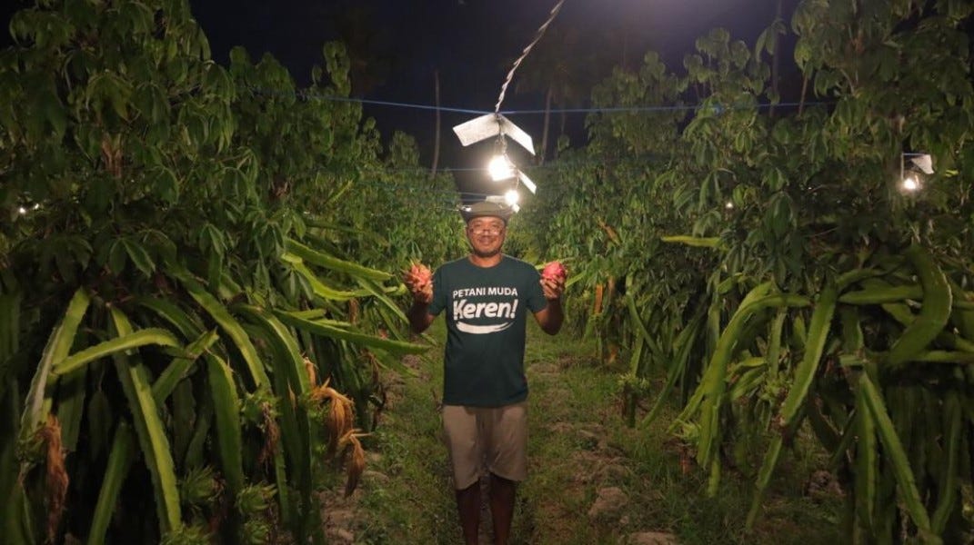 PLN Berau Dukung Inovasi Pertanian Modern Lewat Akses Energi Terintegrasi