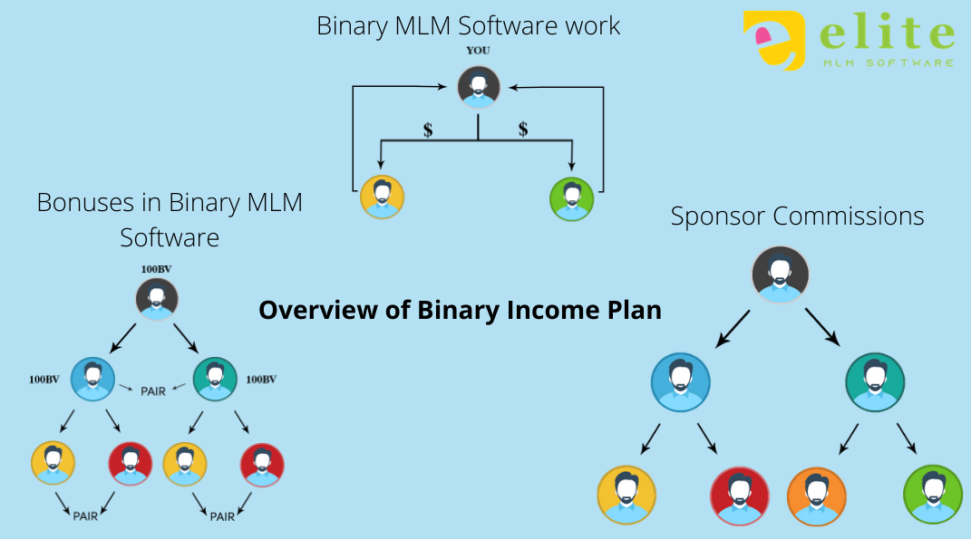 Overview of Binary Income Plan. The Binary income plan is the most ...