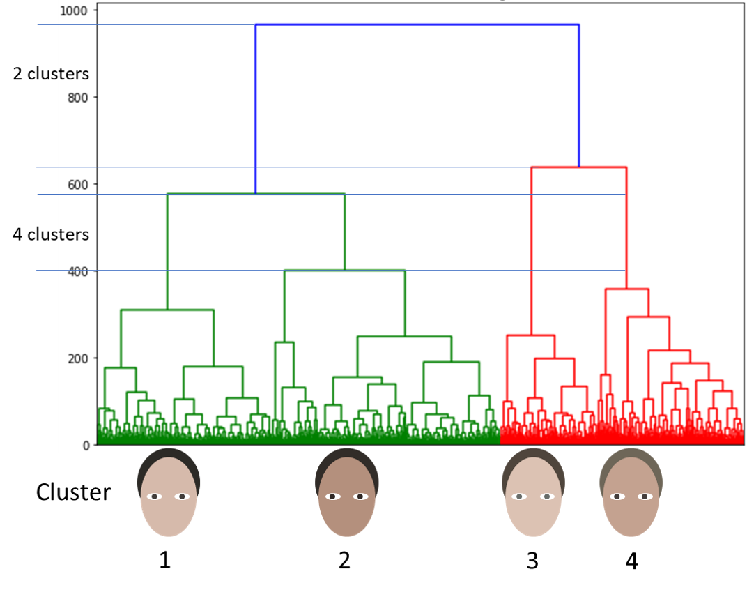 Fashion Science takes on Seasonal Color Analysis by Peter Gaston