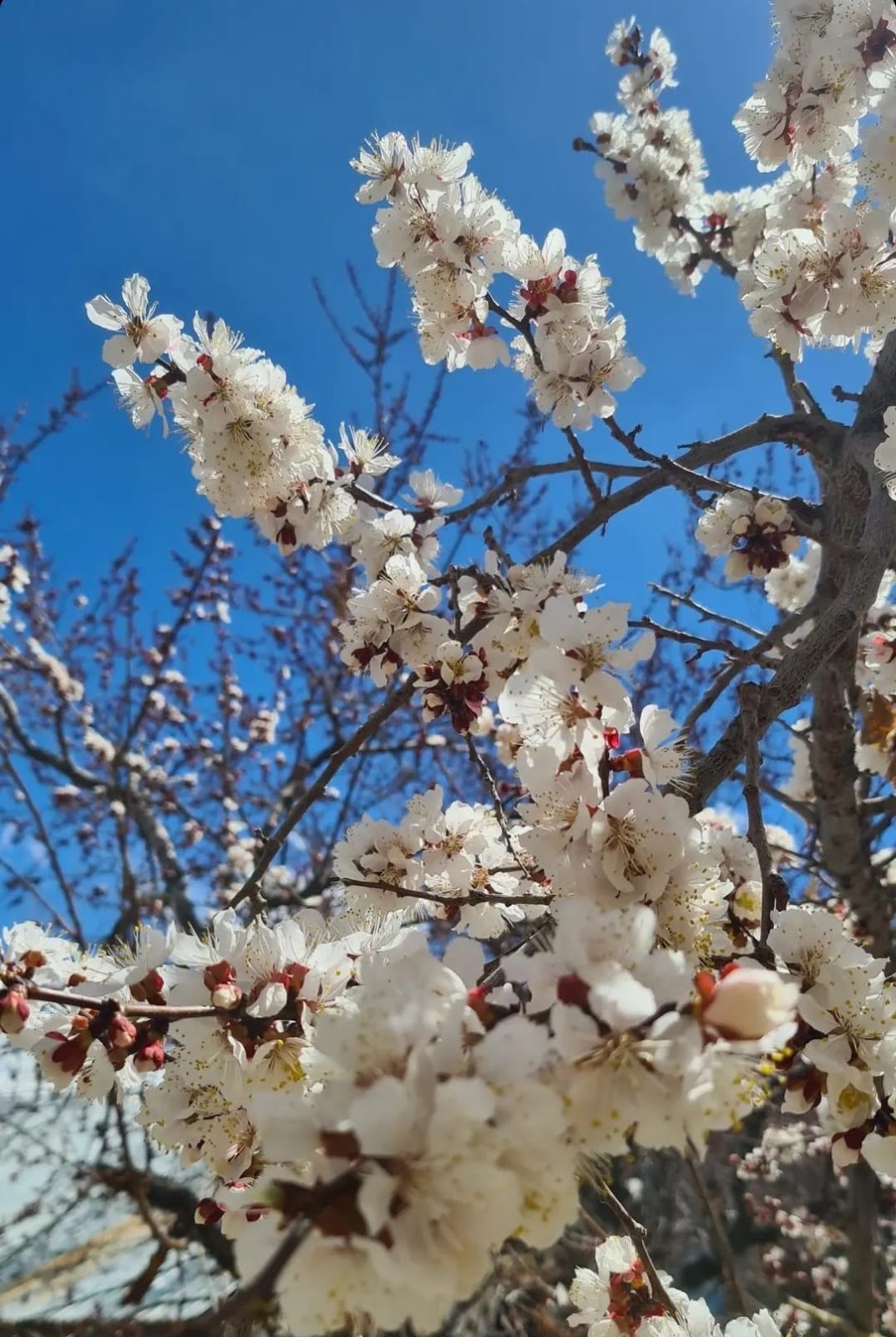 AZAL. By Mohd Ali Tomali by Ali Tomali Sep, 2024 Medium