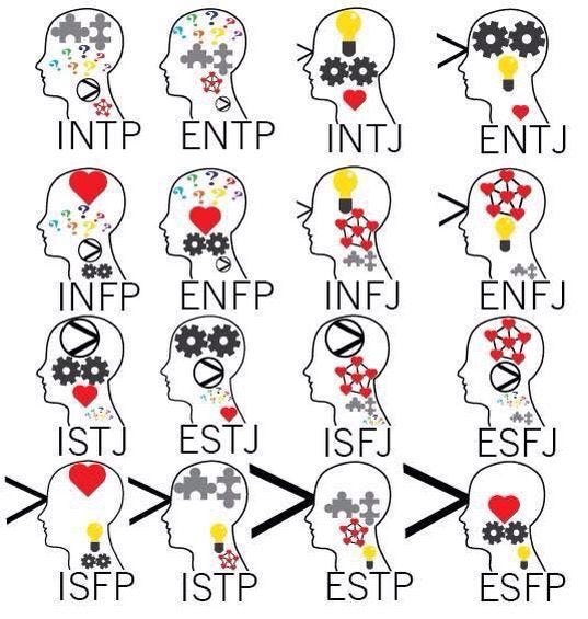 Fel MBTI Personality Type: ENTJ or ENTP?