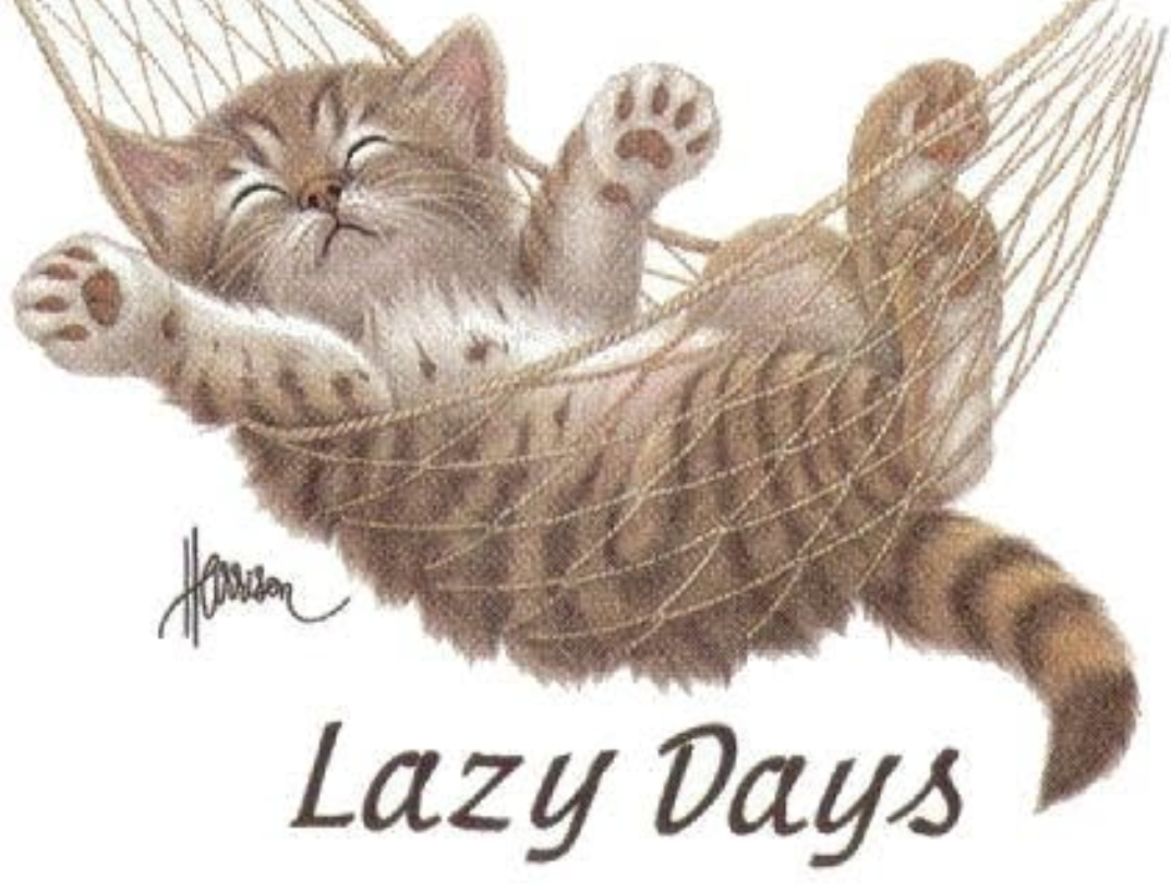 “WHY YOU MUST HAVE A LAZY DAY?”. The lazy day will prove surely the
