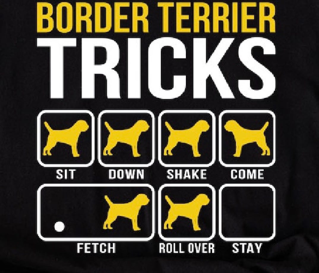 Mom and I would get along better if she’d accept that anything she tells me to do is just a suggestion. “Stubborn Border Terrier Tricks T-Shirt”, TeeNavi, screenshot by Catherine La Grange.
