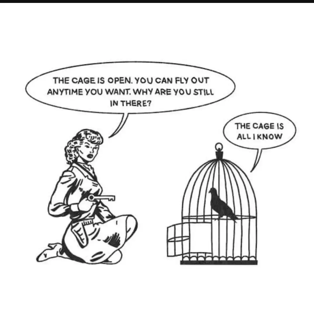 transformation1 jay p. Medium