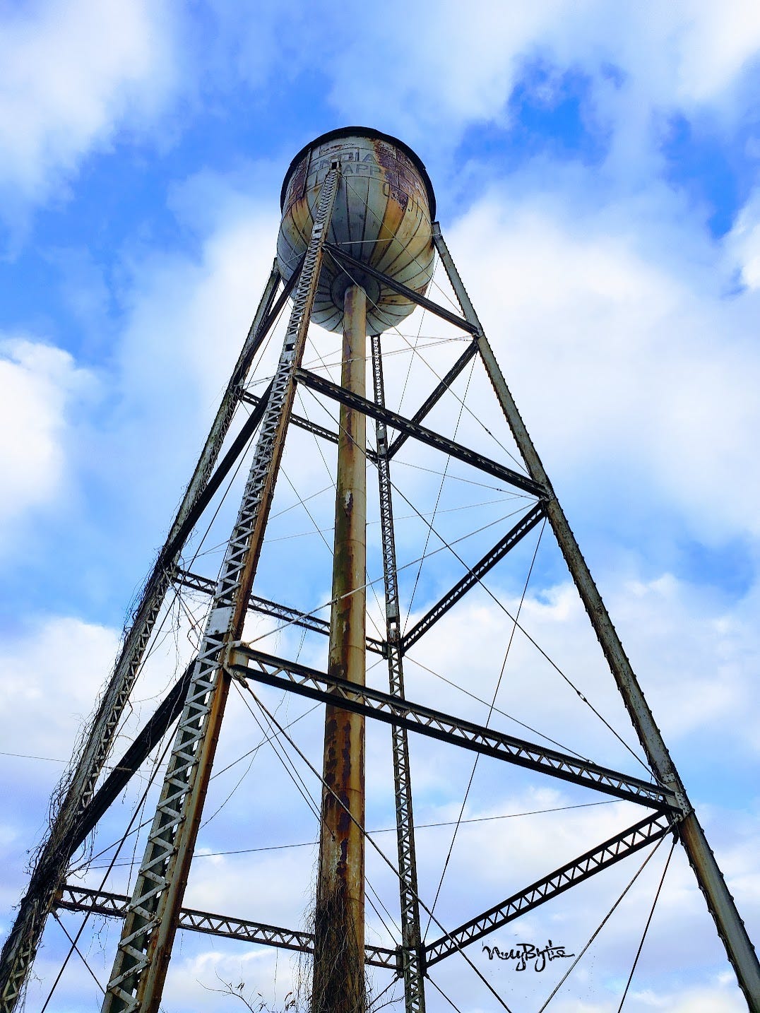 All Along the Water Towers. A little awareness & art about water by