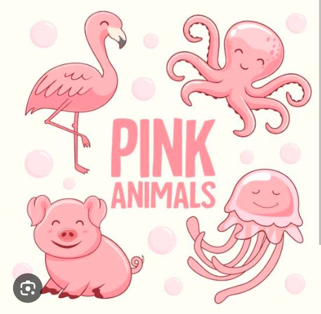 10 Stunning Pink Animals
