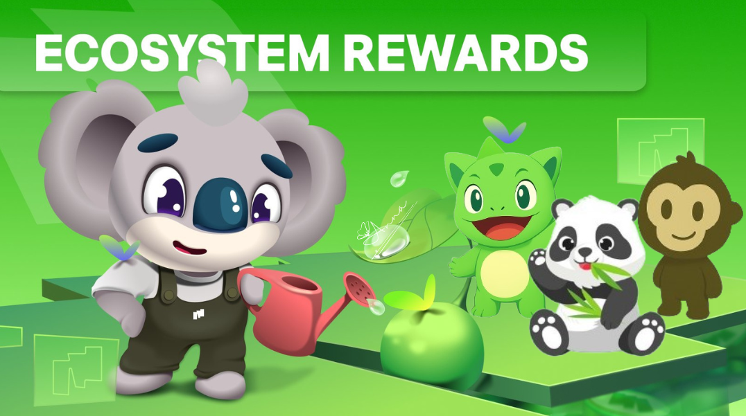 Maximize Your Rewards on Morph