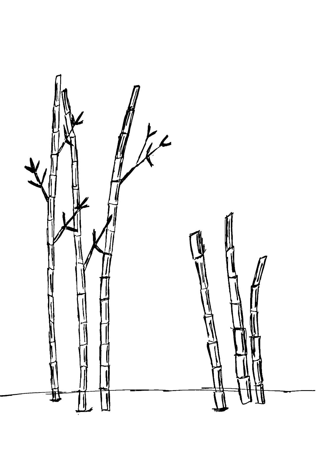 Growing Pains. What does healing look like? If I had… by BaoTran