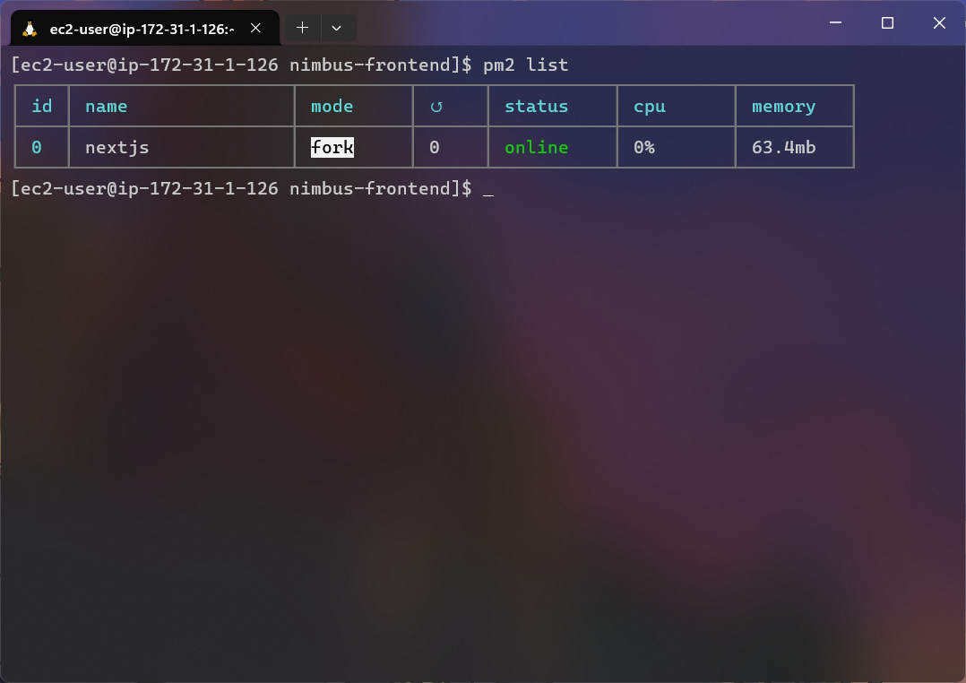 How I hosted NextJs on EC2. NextJs is great and provides you with a ...